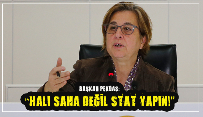 PEKDAŞ, STAT SORUNUYLA İLGİLİ KONUŞTU