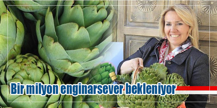 Urla, 9 milyon enginarla festivale hazır
