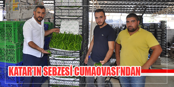 Katar'ın Sebzesi Menderes'ten Gidecek