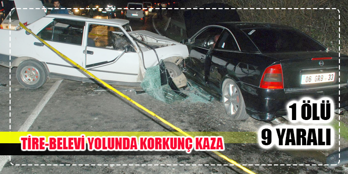 Deve güreşi dönüşü kaza: 1 ölü, 9 yaralı