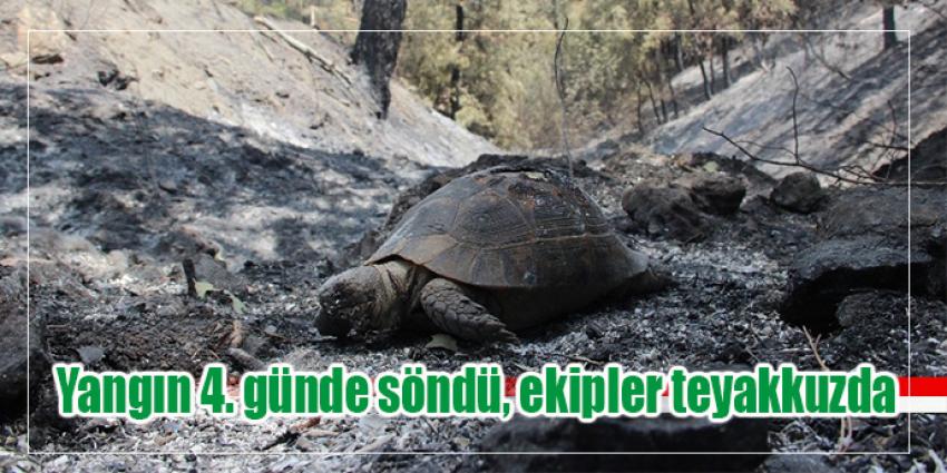 Yangın 4. günde söndü, ekipler teyakkuzda