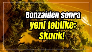 Bonzaiden sonra yeni tehlike: Skunk