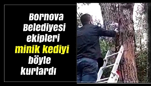 Bornova Belediyesi ekipleri minik kediyi böyle kurtardı