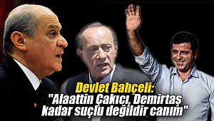 Devlet Bahçeli:
