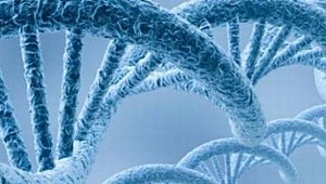 DNA İLE SUÇLUNUN YÜZÜ BELİRLENECEK
