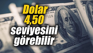 Dolar 4,50 seviyesini görebilir