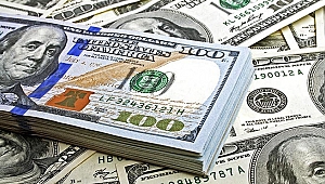 Dolar durdurulamıyor! 4,50'yi geçti
