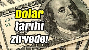 Dolar tarihi zirvede