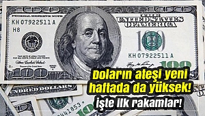 Doların ateşi yeni haftada da yüksek! İşte ilk rakamlar