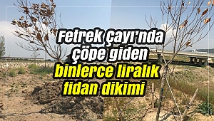 Fetrek Çayı’nda çöpe giden binlerce liralık fidan dikimi