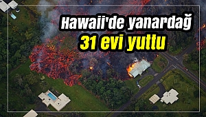 Hawaii'de yanardağ 31 evi yuttu