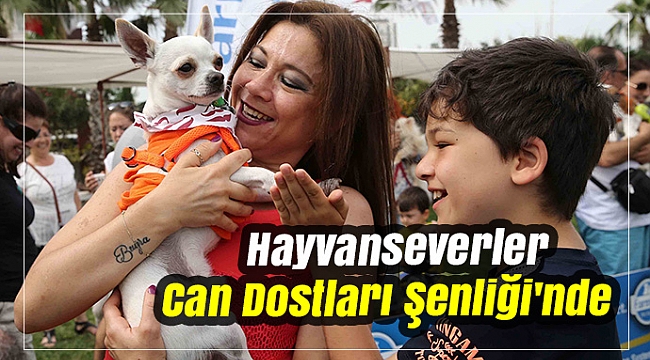 Hayvanseverler 'Can Dostları Şenliği'nde