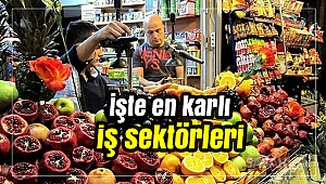 İşte en karlı iş sektörleri