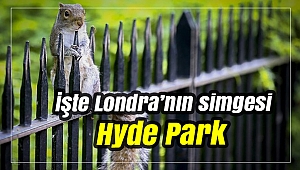 İşte Londra'nın simgesi Hyde Park