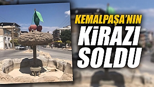 Kemalpaşa'nın kirazı soldu