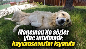 Menemen'de sözler yine tutulmadı; hayvanseverler isyanda