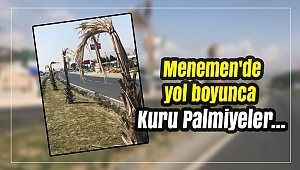 Menemen'de yol boyunca Kuru Palmiyeler!