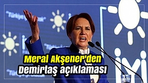 Meral Akşener'den Demirtaş açıklaması