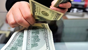 Merkez Bankası TL uzlaşmalı vadeli döviz satım ihalesi açtı
