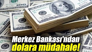 Merkez'den dolara müdahale!