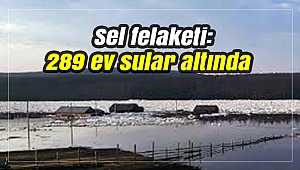 Sel felaketi: 289 ev sular altında kaldı