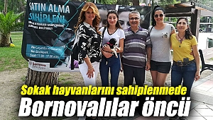 Sokak hayvanlarını sahiplenmede Bornovalılar öncü