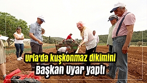 Urla'da kuşkonmaz dikimini Başkan Uyar yaptı