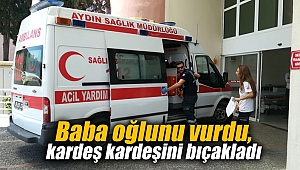 Baba oğlunu vurdu, kardeş kardeşini bıçakladı