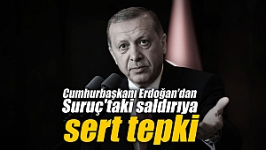 Cumhurbaşkanı Erdoğan'dan Suruç'taki saldırıya sert tepki