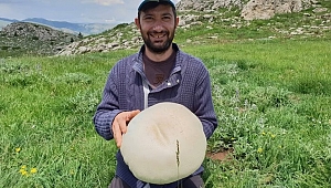 Gümüşhane’de görenleri şaşkına çeviren olay!