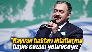 “Hayvan hakları ihlallerine hapis cezası getireceğiz”