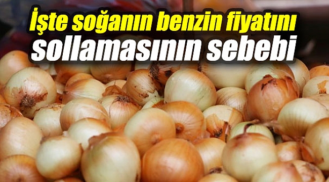 İşte soğanın benzin fiyatını sollamasının nedeni