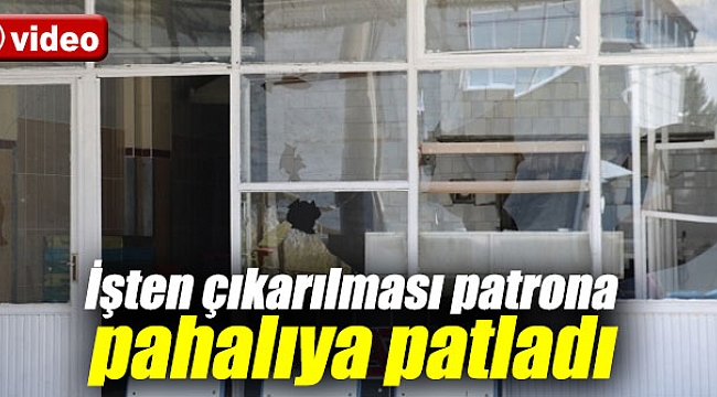 İşten çıkarılması patrona pahalıya patladı