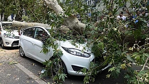 İzmir'de mucize kurtuluş