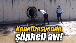 Kanalizasyonda şüpheli avı!