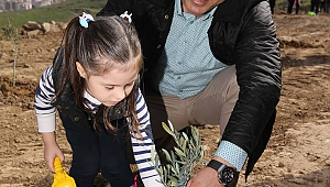 Karşıyaka'da 'Kentsel Dönüşüm Ormanı' kurulacak