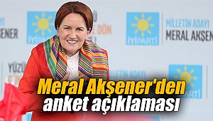 Meral Akşener'den anket açıklaması