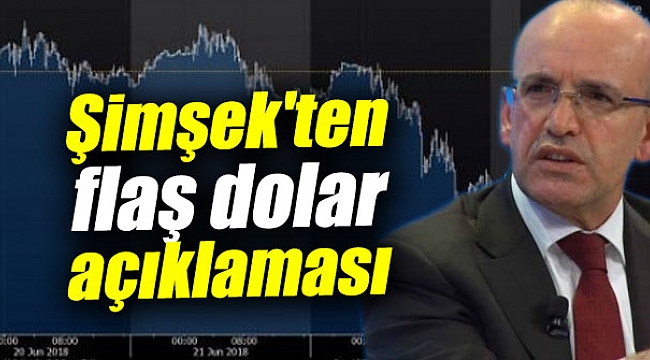 Şimşek'ten flaş dolar açıklaması