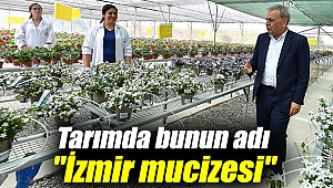 Tarımda bunun adı