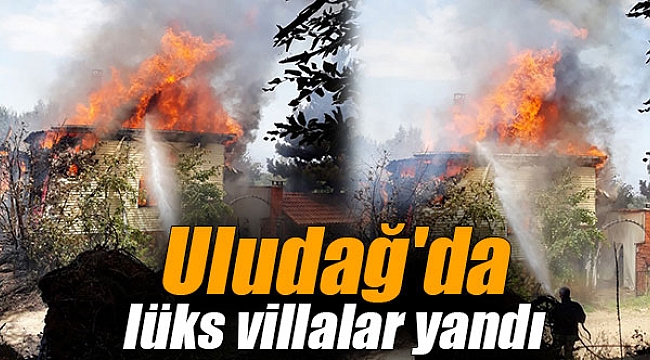 Uludağ'da lüks villalar yandı