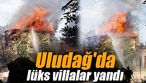 Uludağ'da lüks villalar yandı