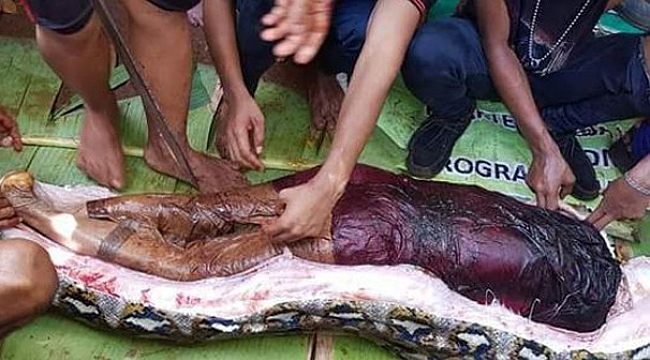 Yılan iki çocuk annesi kadını yuttu!