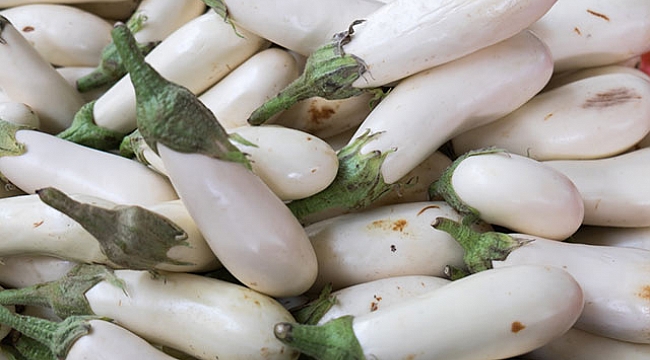 Yumurta çiçeği beyaz patlıcanın faydaları