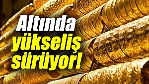 Altında yükseliş sürüyor!