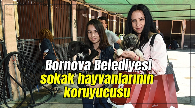 Bornova Belediyesi sokak hayvanlarının koruyucusu