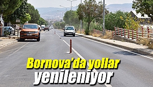 Bornova Belediyesi, yolları yeniliyor