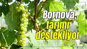Bornova, tarımı destekliyor