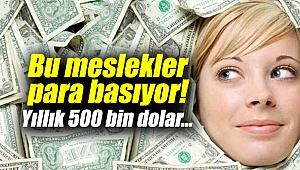 Bu meslekler para basıyor! Yıllık 500 bin dolar...