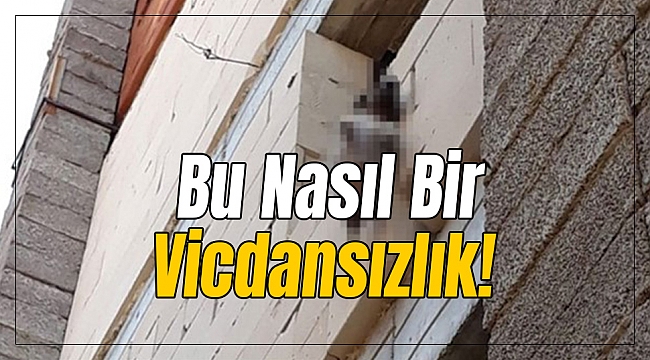 Bu Nasıl Bir Vicdansızlık!