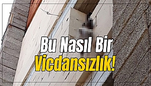 Bu Nasıl Bir Vicdansızlık!